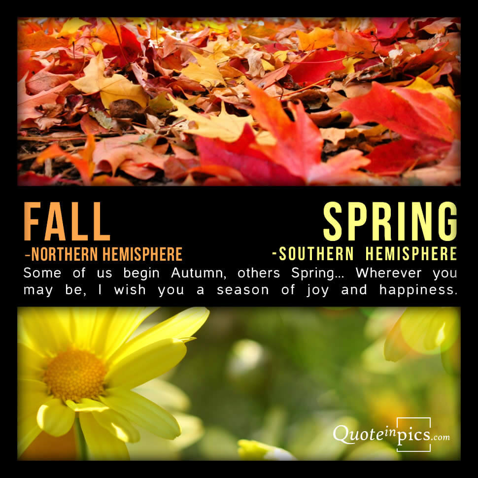 Fall & Spring