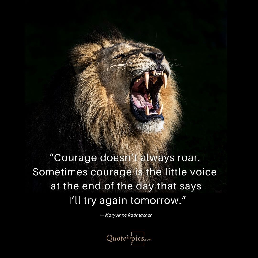 Courage doesn’t always roar