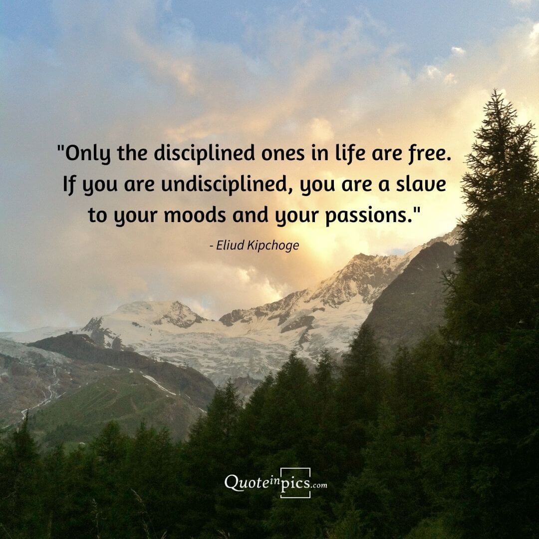 Only the disciplined ones in life are free