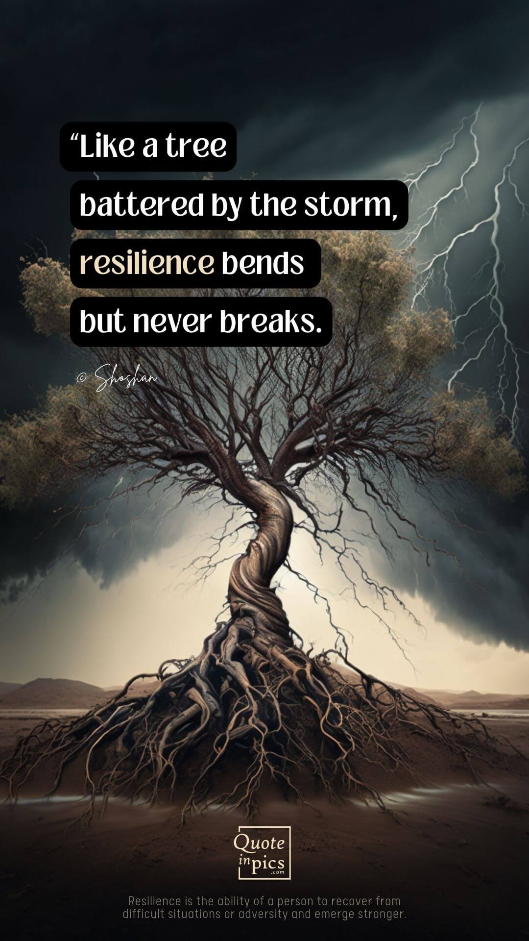 Like a tree battered by the storm, resilience bends but never breaks. -Shoshan