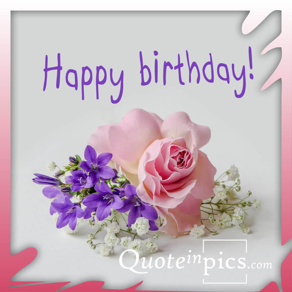 Happy birthday! - Pink rose & flowers for you