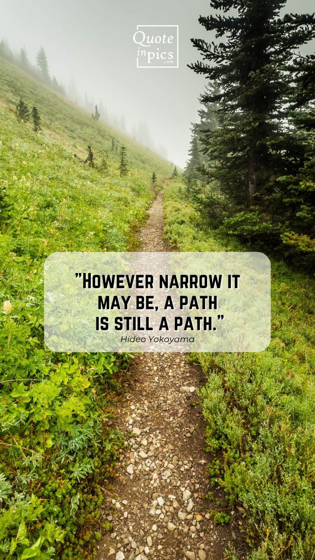 However narrow it may be, a path is still a path