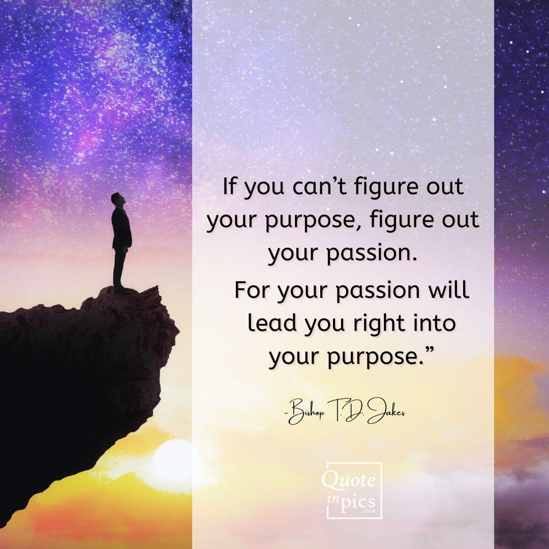 If you can’t figure out your purpose, figure out your passion.